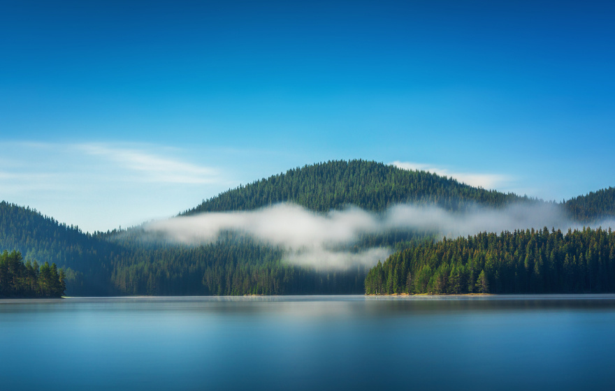 Hong Kong Maintenance Guy Group